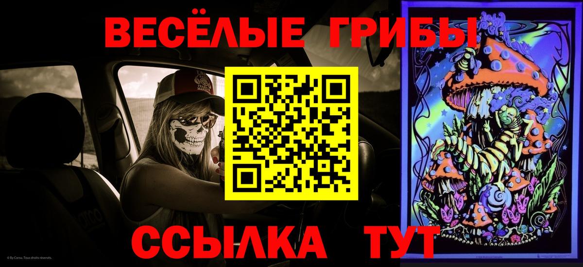Псилоцибиновые грибы Psilocybe  Вход с VPN  Псилоцибиновые грибы мухоморы  Новодвинск 