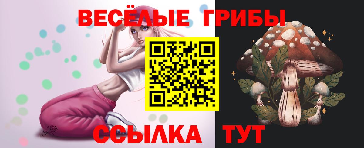 Галлюциногенные грибы прущие грибы Новодвинск